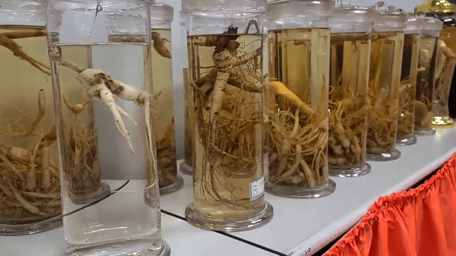 5411a849e5a8b5e90b231b16340921de_1770343674_8058.gif 5411a849e5a8b5e90b231b16340921de_1770343674_8058.gif