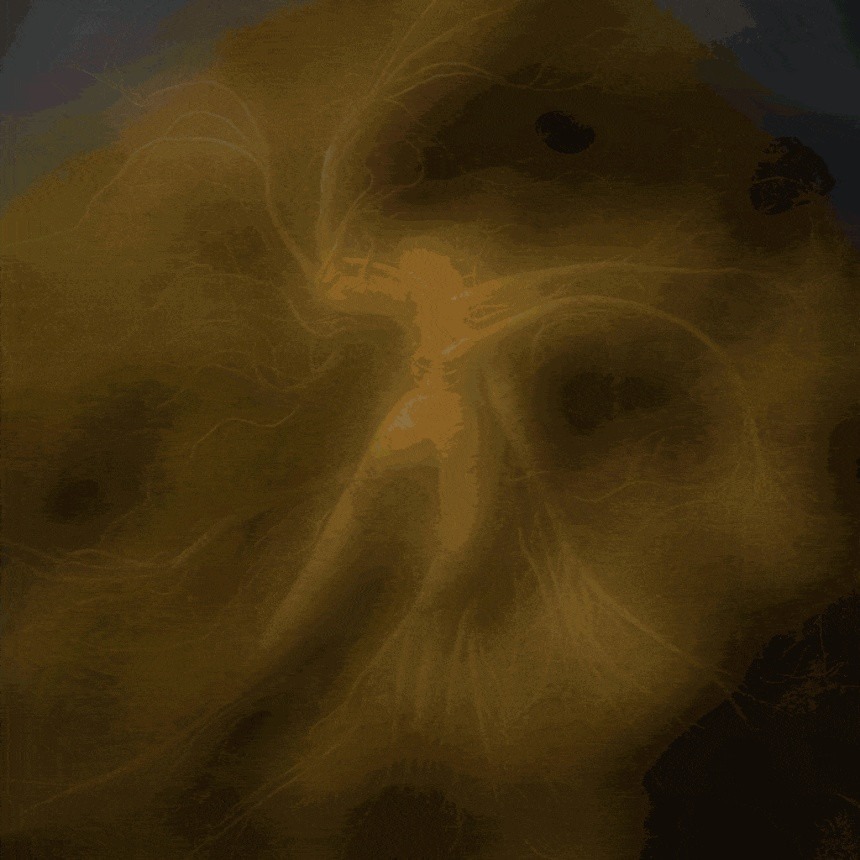 5411a849e5a8b5e90b231b16340921de_1770360748_9465.jpg 5411a849e5a8b5e90b231b16340921de_1770360748_9465.jpg